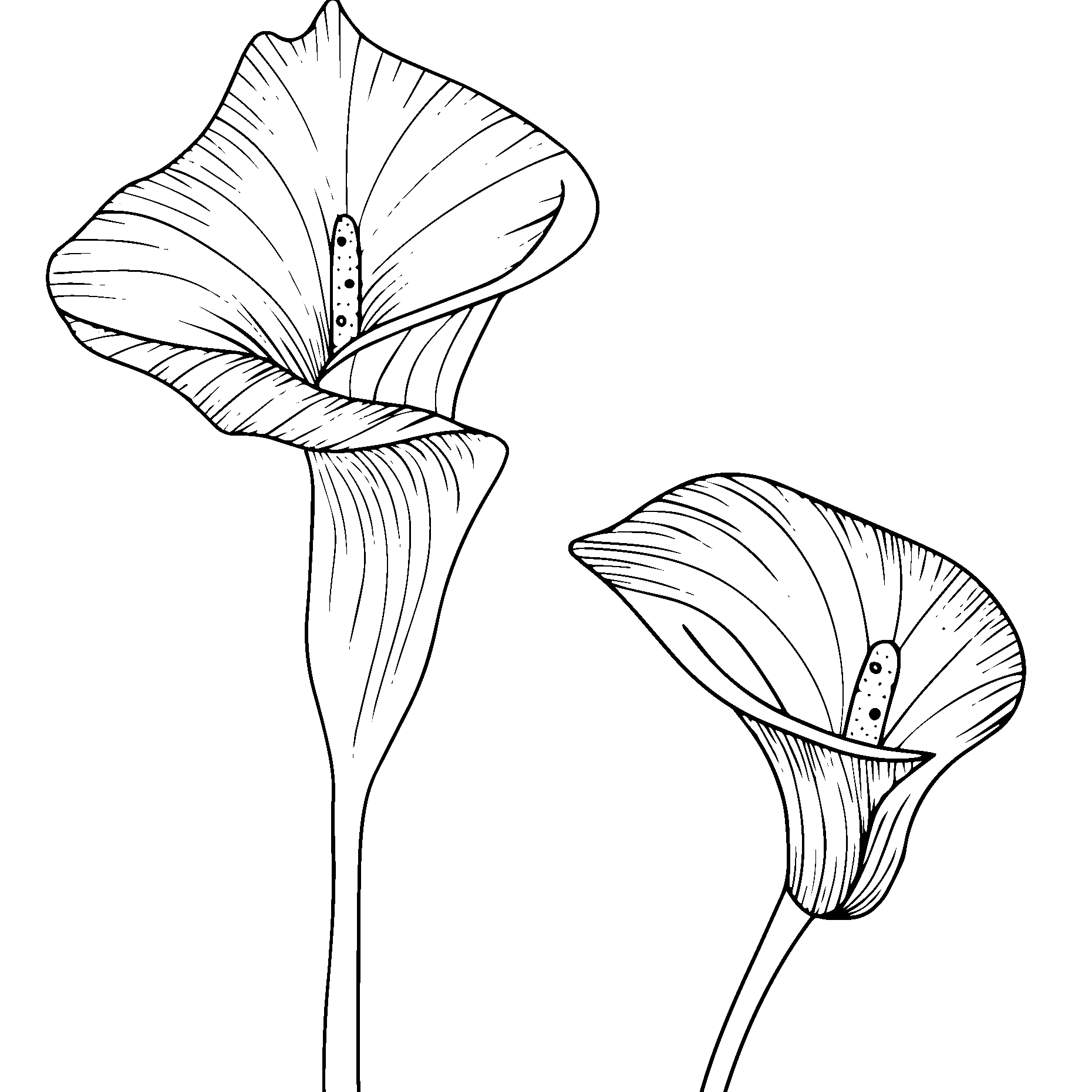 Grafica-Sito (2)